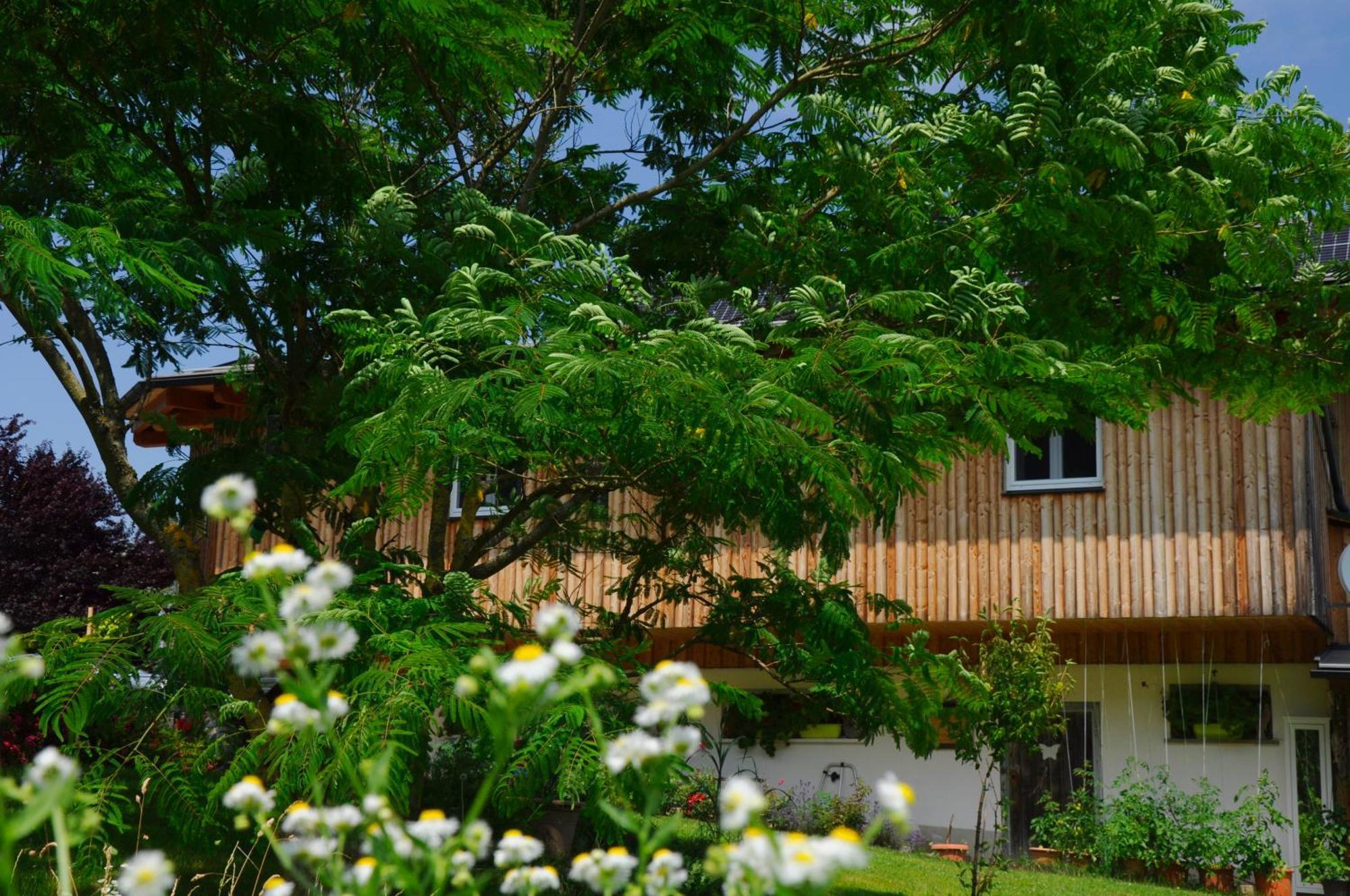 Stille Paradies Appartement Ledenitzen
