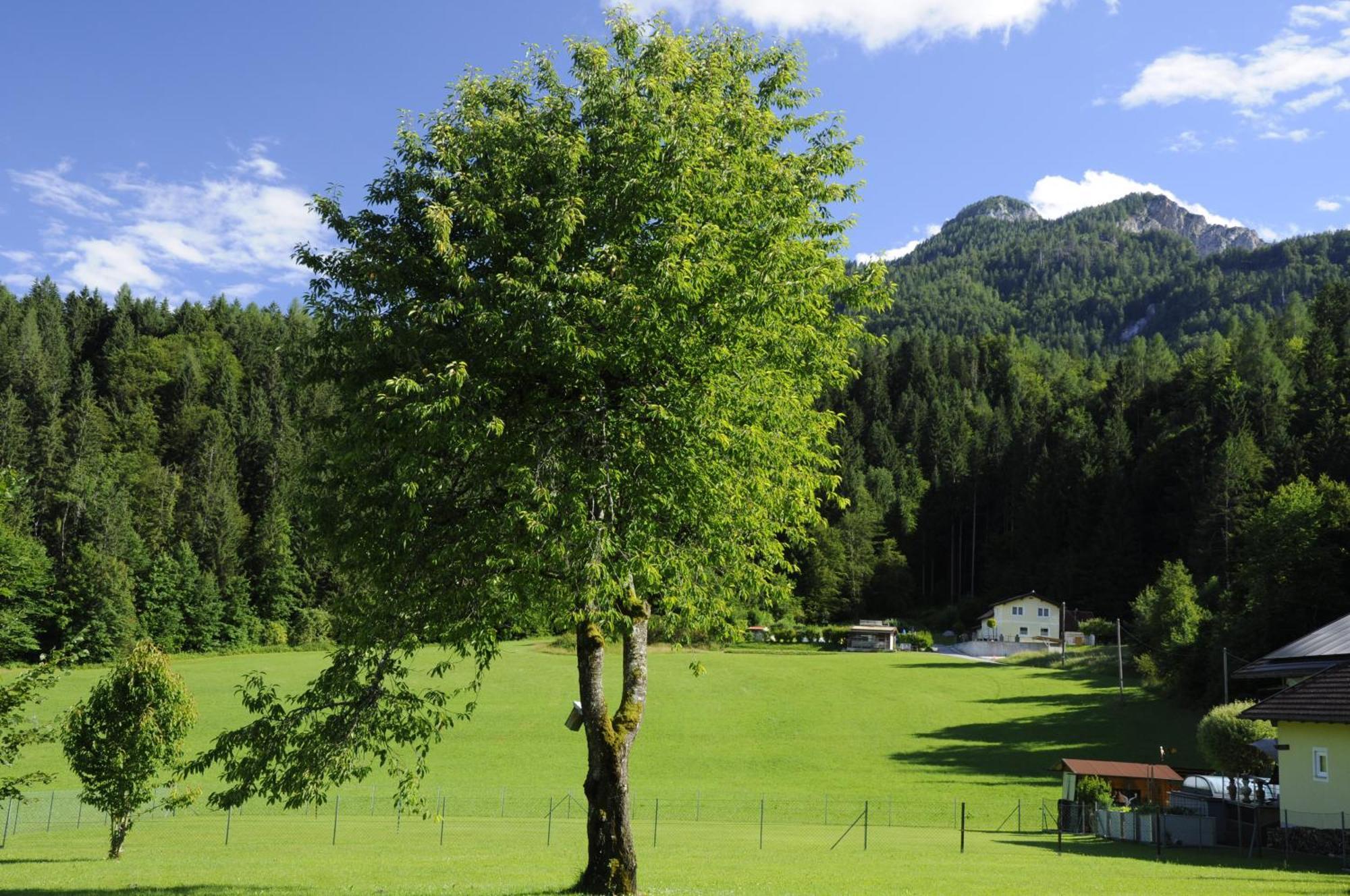 Stille Paradies Appartement *
